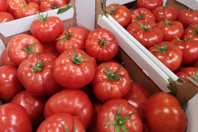 pomidory rynek hurtowy