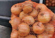 Aktualne ceny cebuli. Trudna sytuacja krajowych rolników, a na rynku towar z Rosji [23.10.2023]