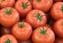 Krajowe pomidory