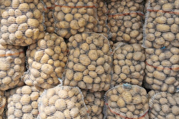 Krajowe ziemniaki w workach