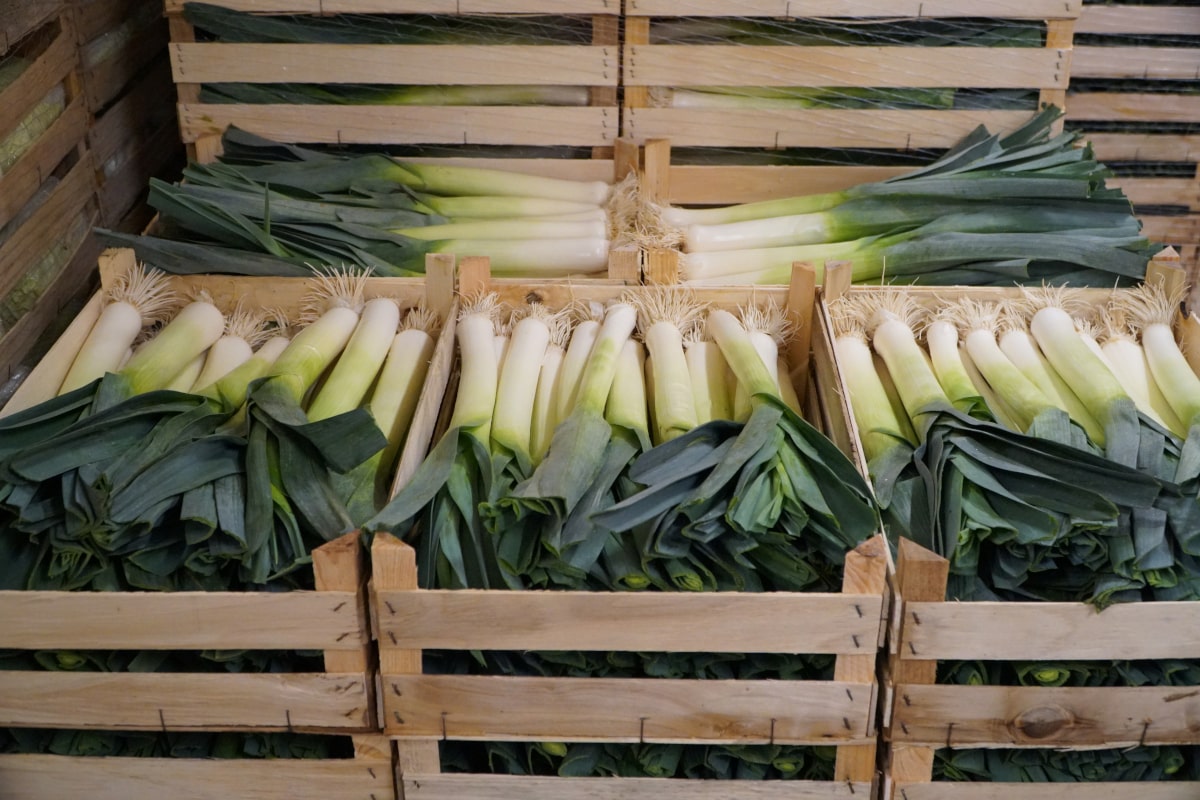 Wydaliśmy ponad 36 milionów na pory spoza Polski. Top 10 dostawców