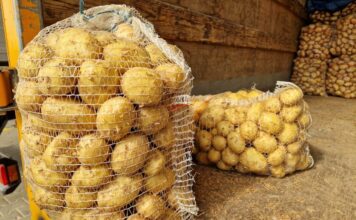 Ziemniaki w workach rynek Bronisze