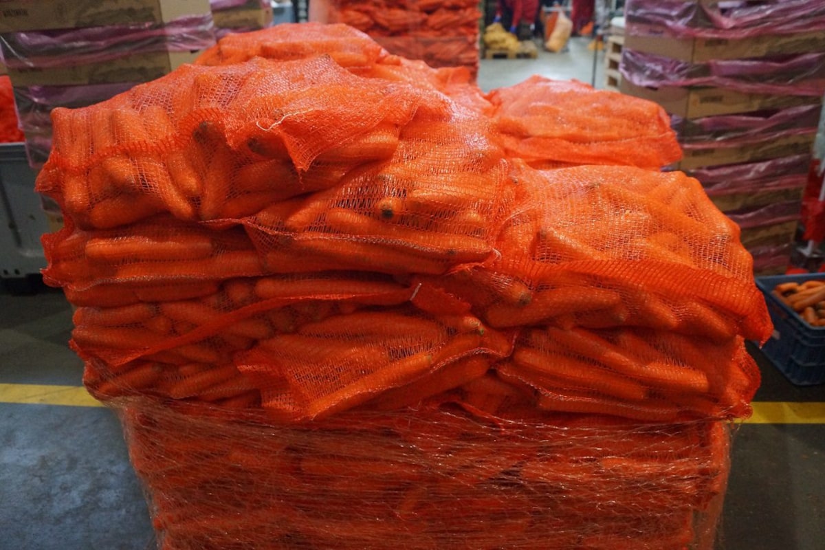 Mniejszy ruch, stabilne ceny – podwarszawski rynek na początku ferii zimowych [19.01.2026]