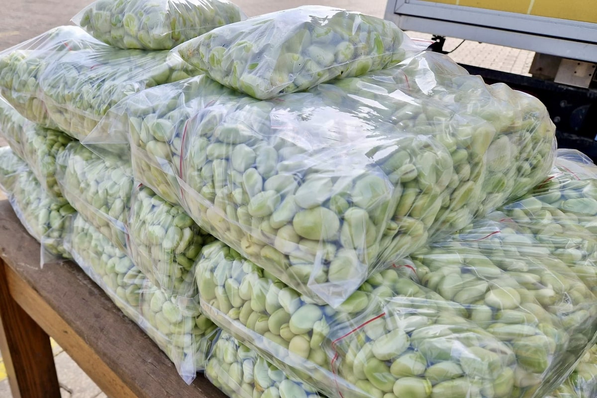 Ceny bobu padły. Handel nie jest łatwy [02.07.2025]