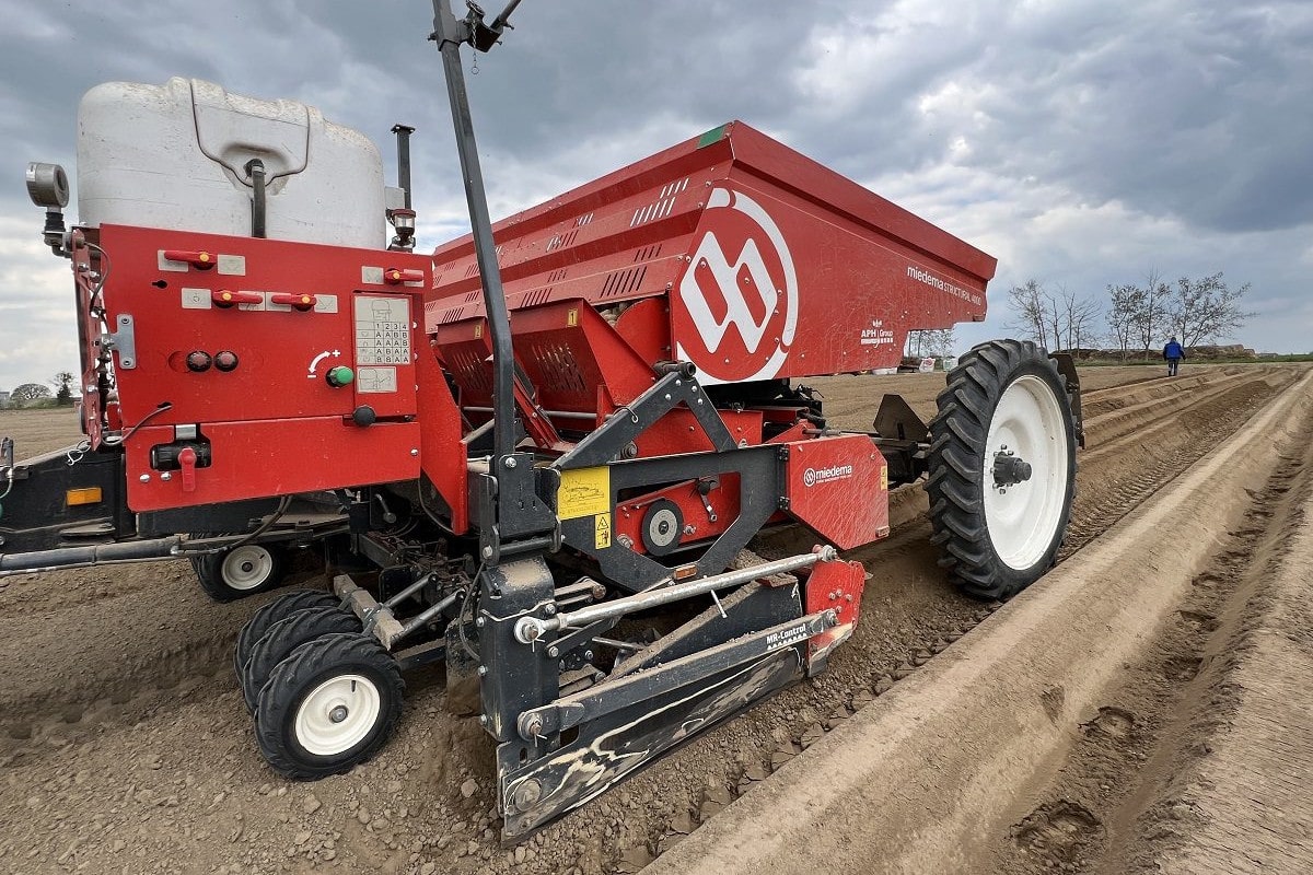 Opóźnione nasadzenia we Włoszech. Wczesne ziemniaki pod znakiem zapytania