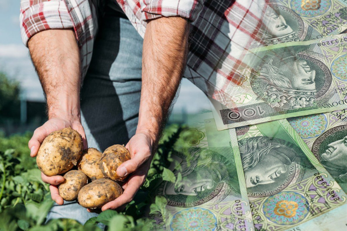 Straty na Żuławach, a limit wsparcia – czy da się to obejść? Kto skorzysta na nowym naborze?