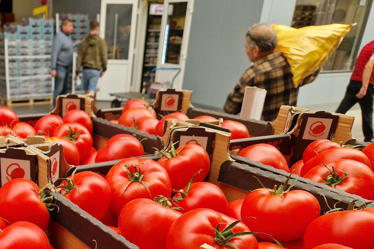 Holandia sprzedała w Polsce pomidory za 552 miliony złotych. Kto jeszcze zyskał?