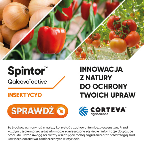 corteva spintor