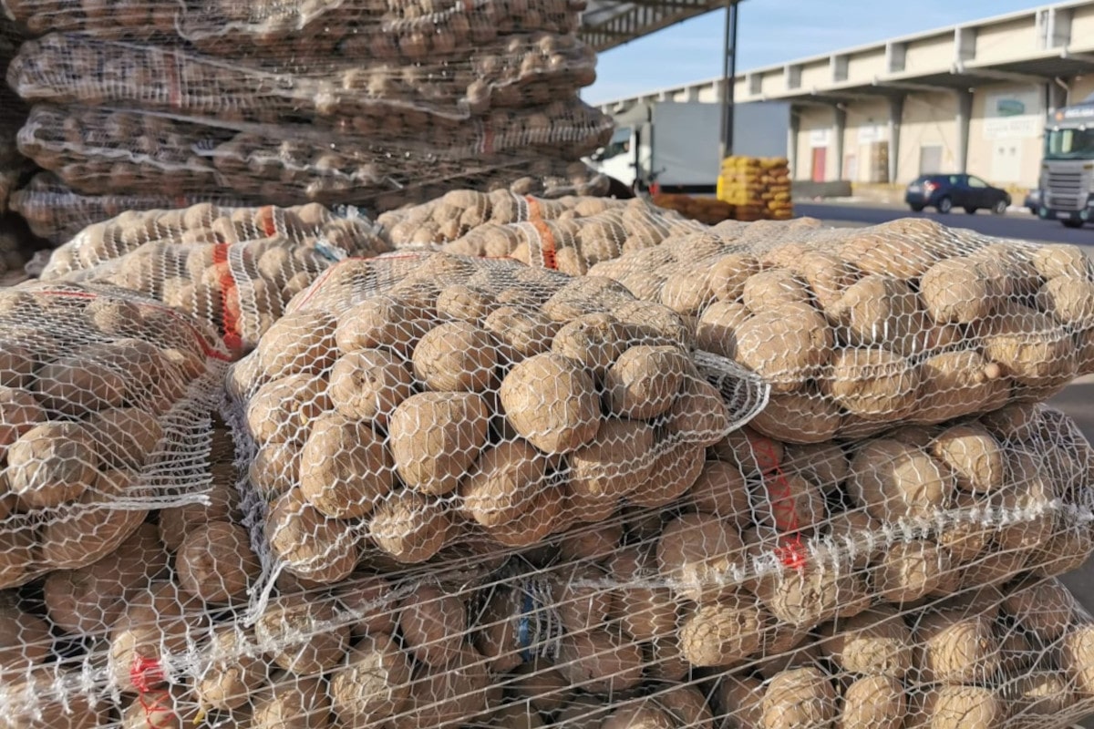 Ziemniaki i marchew na Broniszach – w jakich cenach pod koniec września? [29.09.2025]