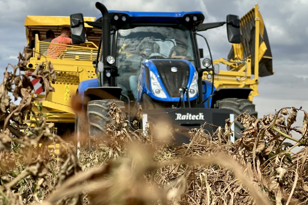 Maszyny z dofinansowaniem dla producentów warzyw. Kto może złożyć wniosek?