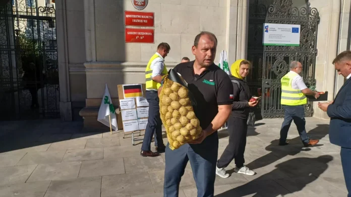 Konferencja 