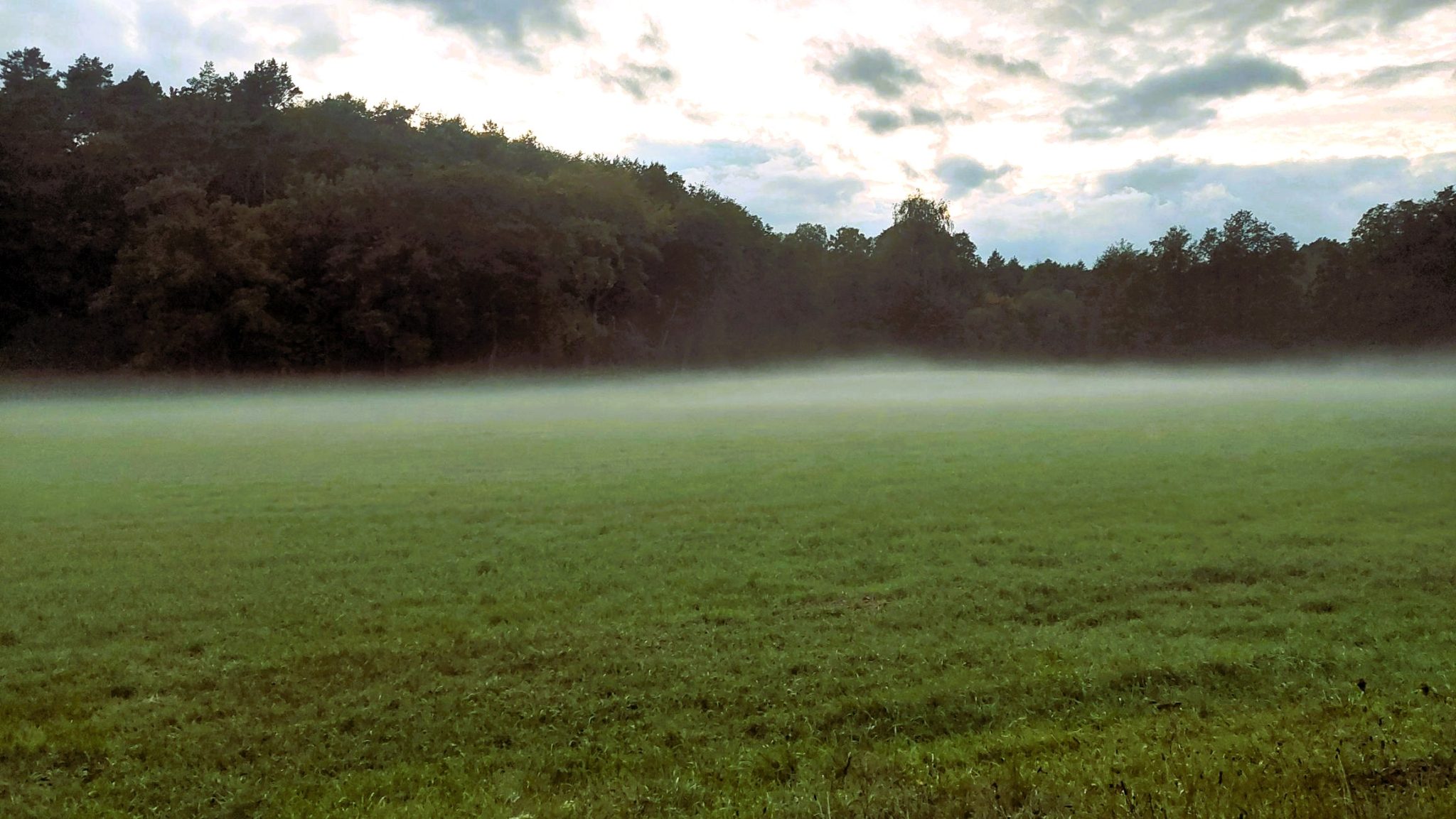 Nowa dopłata za torfowiska i podmokłe łąki od 2026 roku. Rolnicy mogą zyskać choćby 2380 zł/ha