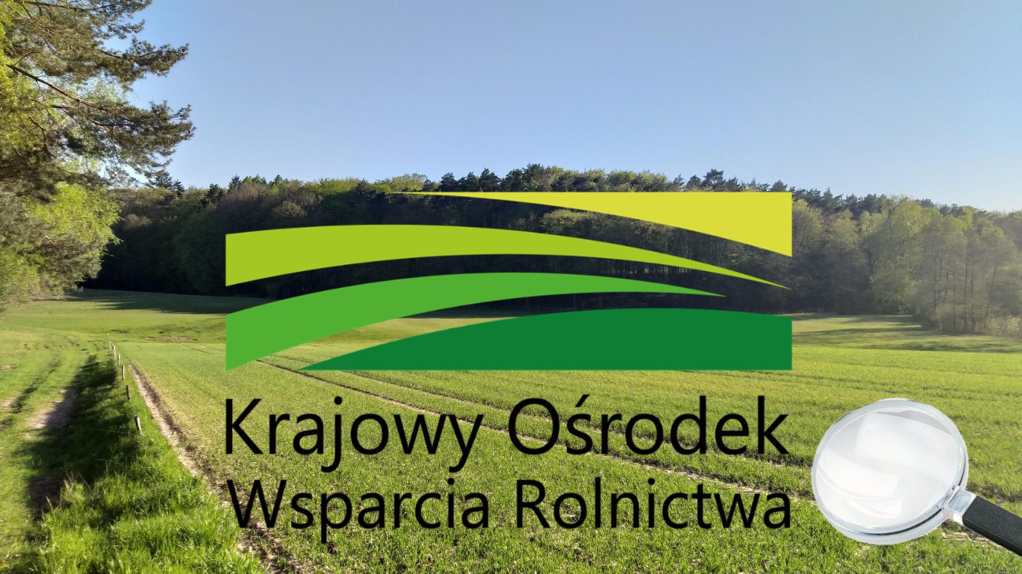 KOWR pod lupą – minister rolnictwa zapowiada audyt