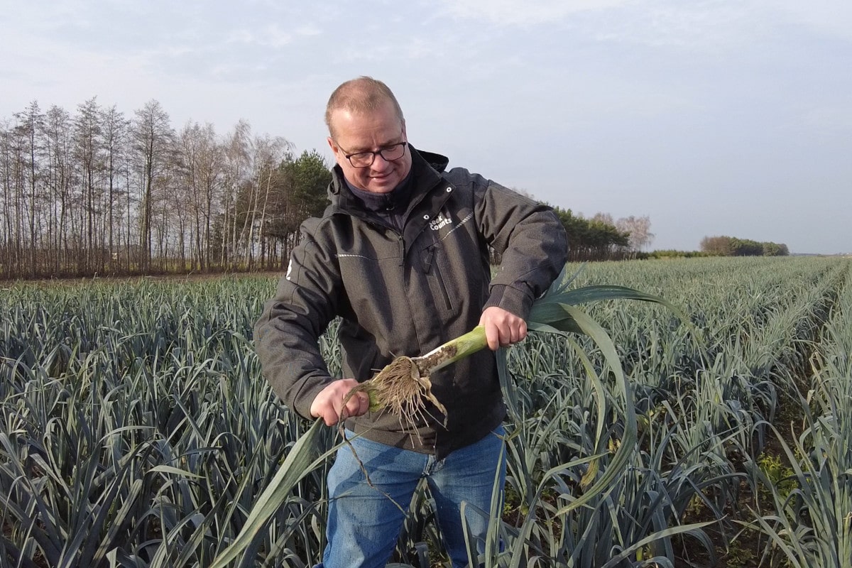 Ciemny liść – tajna broń w walce o klienta. Kryterium, które dziś decyduje o sukcesie handlowym pora [VIDEO]