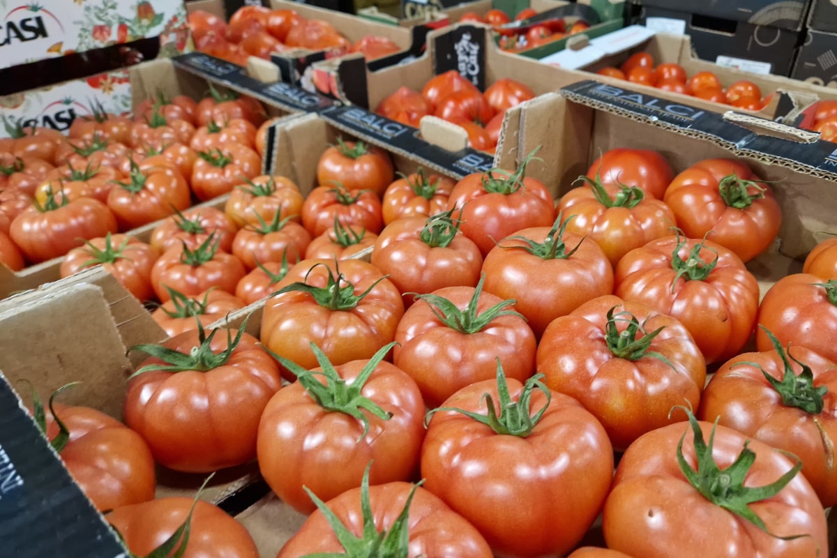 Papryka, ogórki i pomidory na rynku w Broniszach. W jakich cenach na początku grudnia? [01.12.2025]