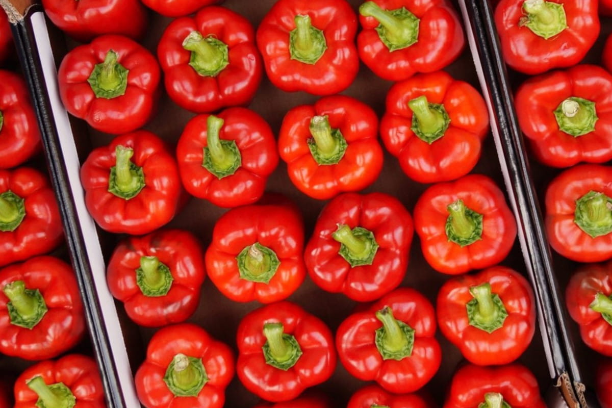 Niemal 80 tys. ton papryki za 716 mln zł. Kto na nas zarabia?