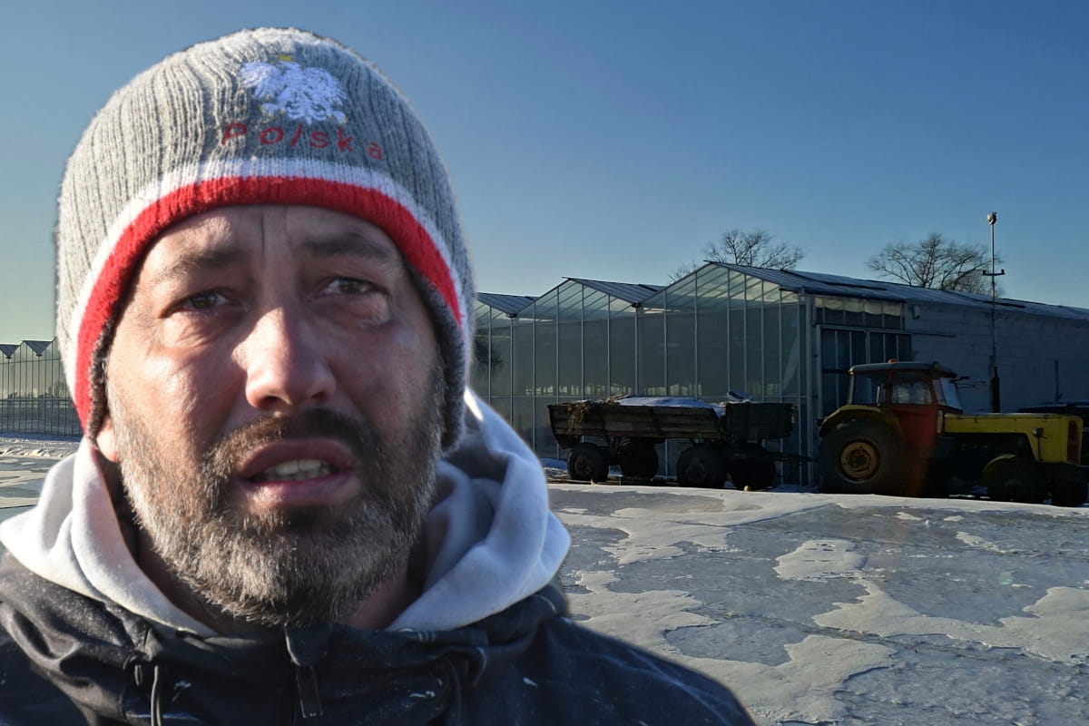 Jedna noc, 6 godzin bez prądu i zamarznięte szklarnie. Operator odpowiada