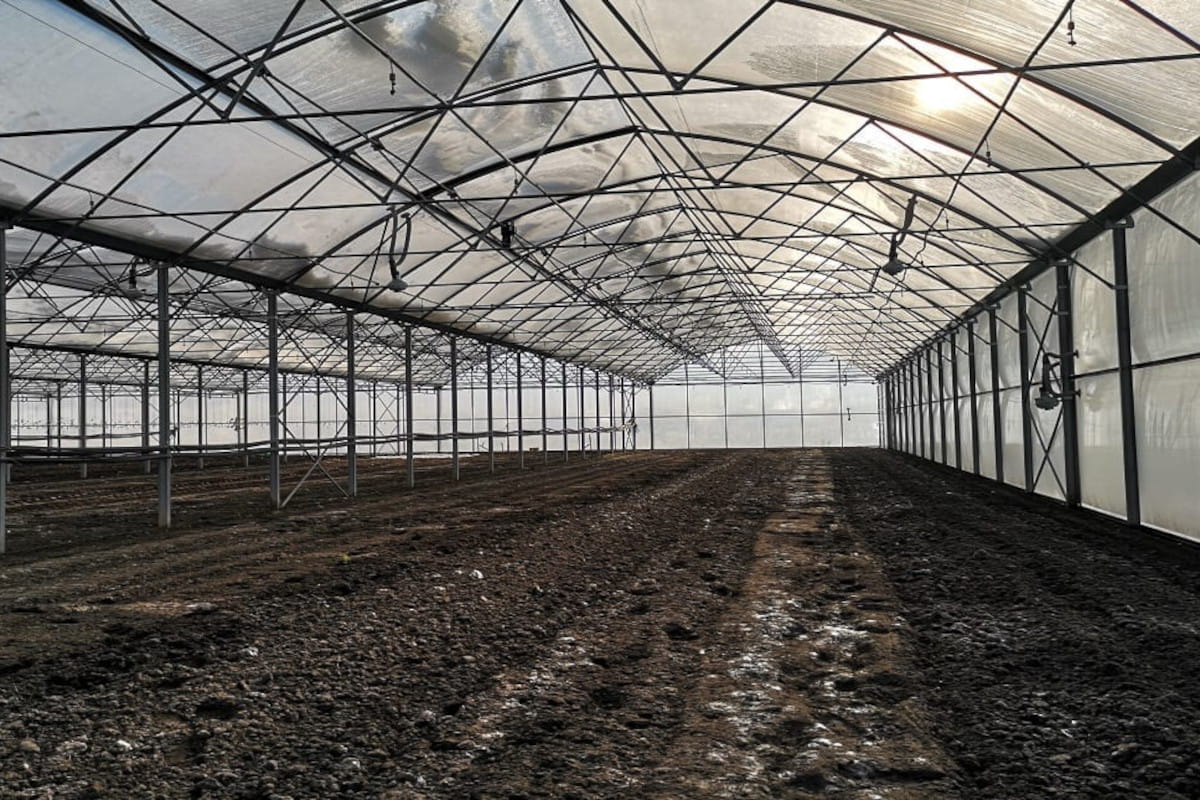 Pogodowy rollercoaster: odwilż, potem temperatura spadnie do -20°C